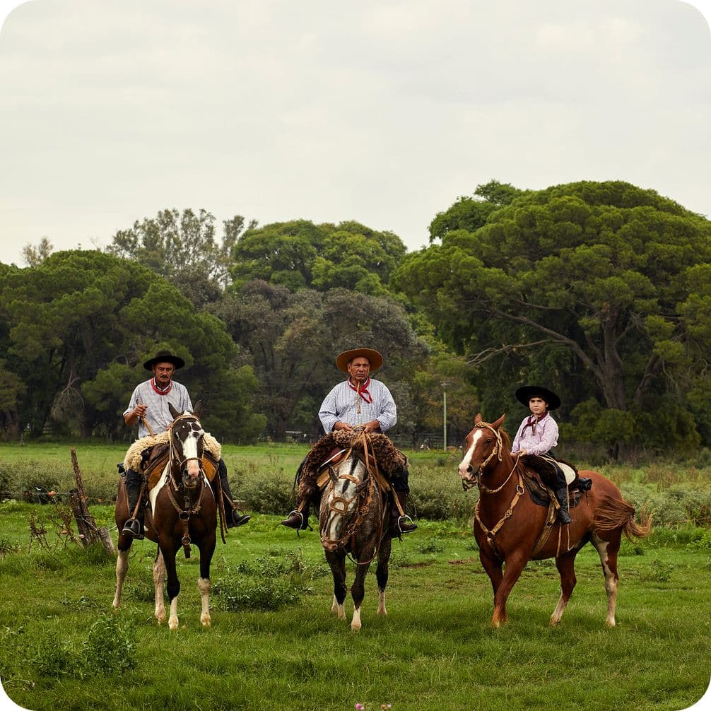 Three gauchos on horseback in a green pasture, wearing wide-brim hats and traditional clothing, trees in the background.