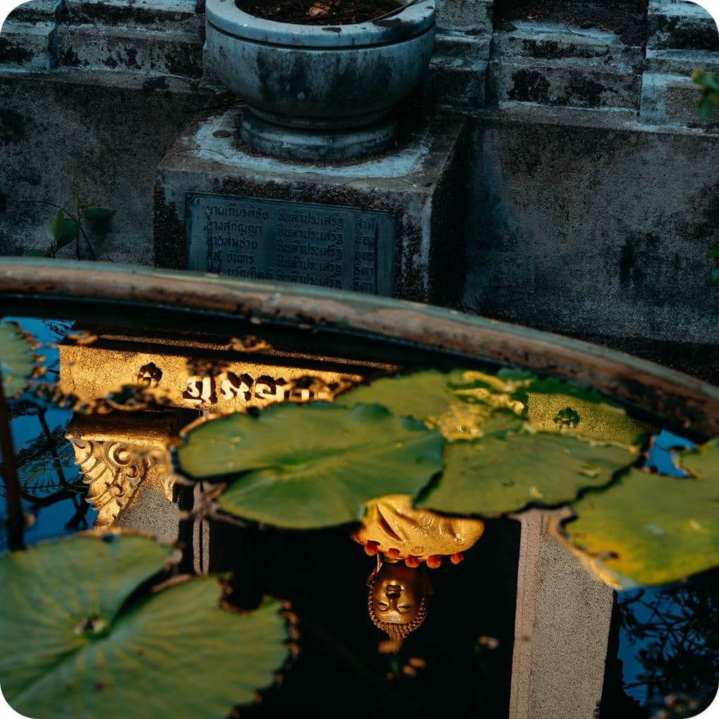Reflection of a golden Buddha head in a pond with green lotus pads, a stone planter, and a weathered temple wall in the background.