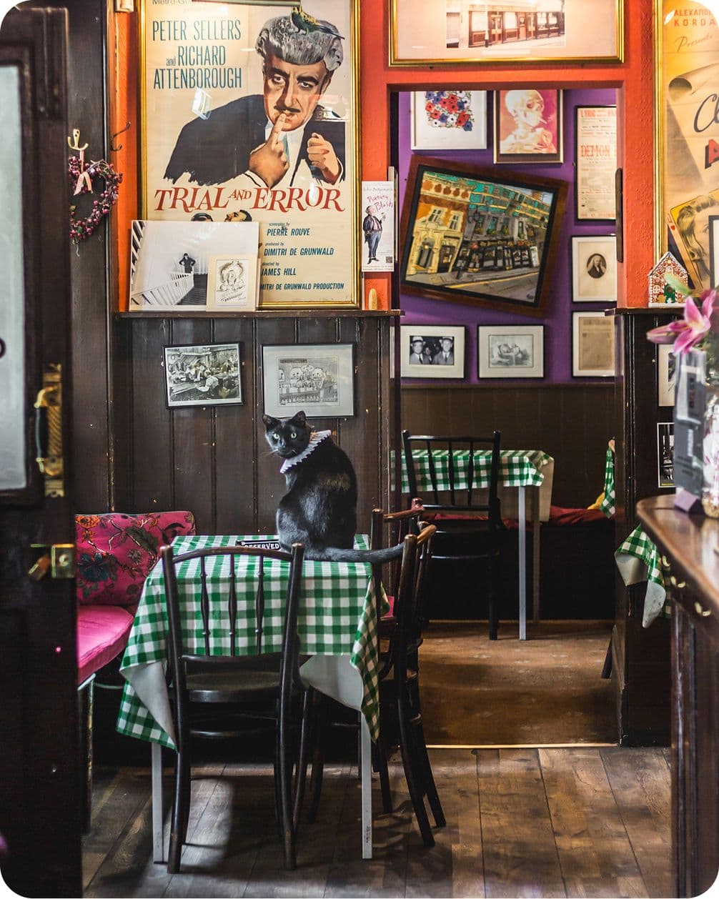 A black cat sits on a chair at a table with a green checkered tablecloth in a cozy, art-filled room with vintage posters and framed pictures.