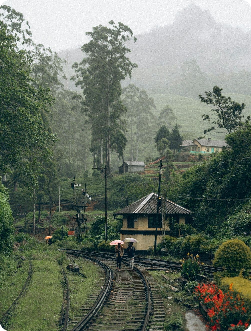 Two people with umbrellas walk along a misty, curved railway track surrounded by lush greenery and distant hills.