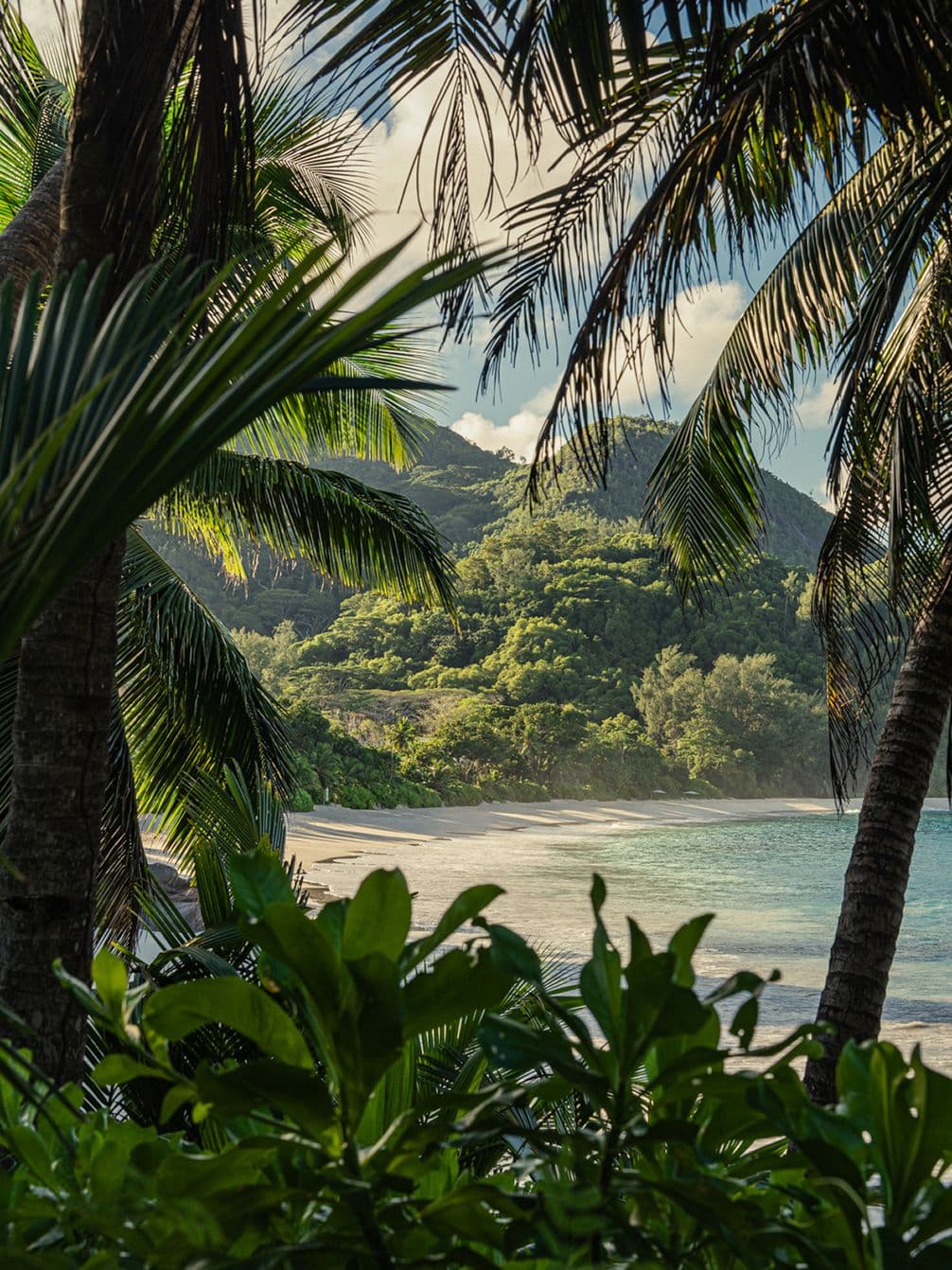 Tropical beach scene with palm trees framing a sandy shore, clear turquoise water, and lush green mountains in the background.