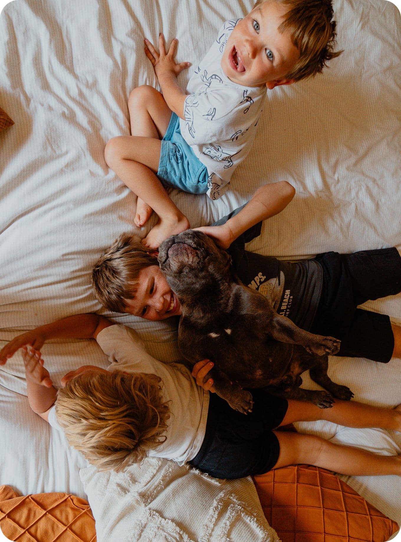 Three children joyfully playing on a bed with a small black dog, all smiling and interacting in a cozy setting.