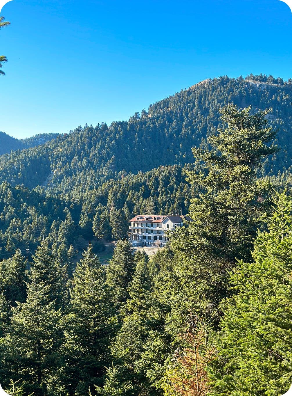A white building nestled among dense green pine trees with a backdrop of forested mountains under a clear blue sky.