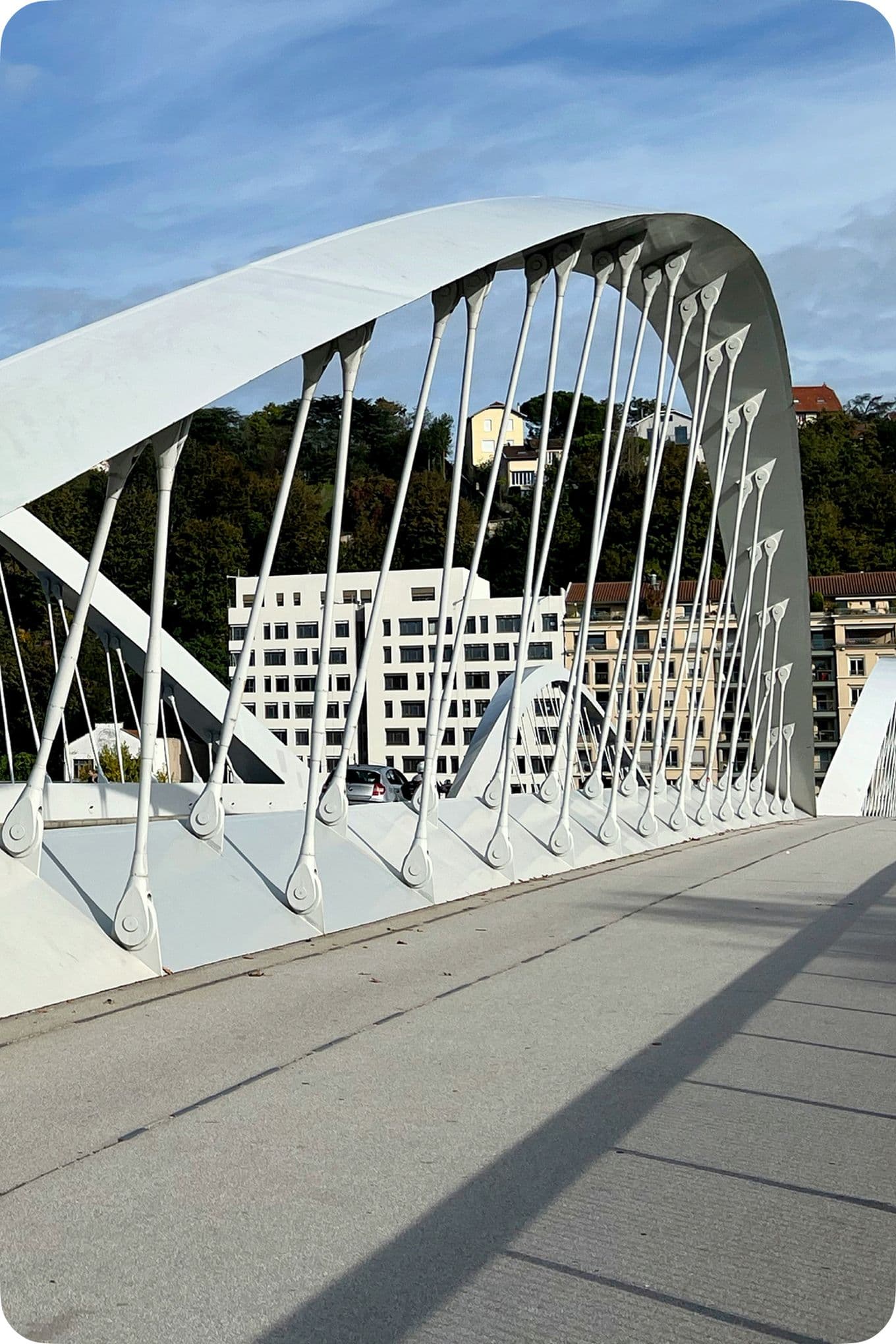 Modern white bridge with curved arches and cables, set against a backdrop of buildings and greenery under a clear blue sky.