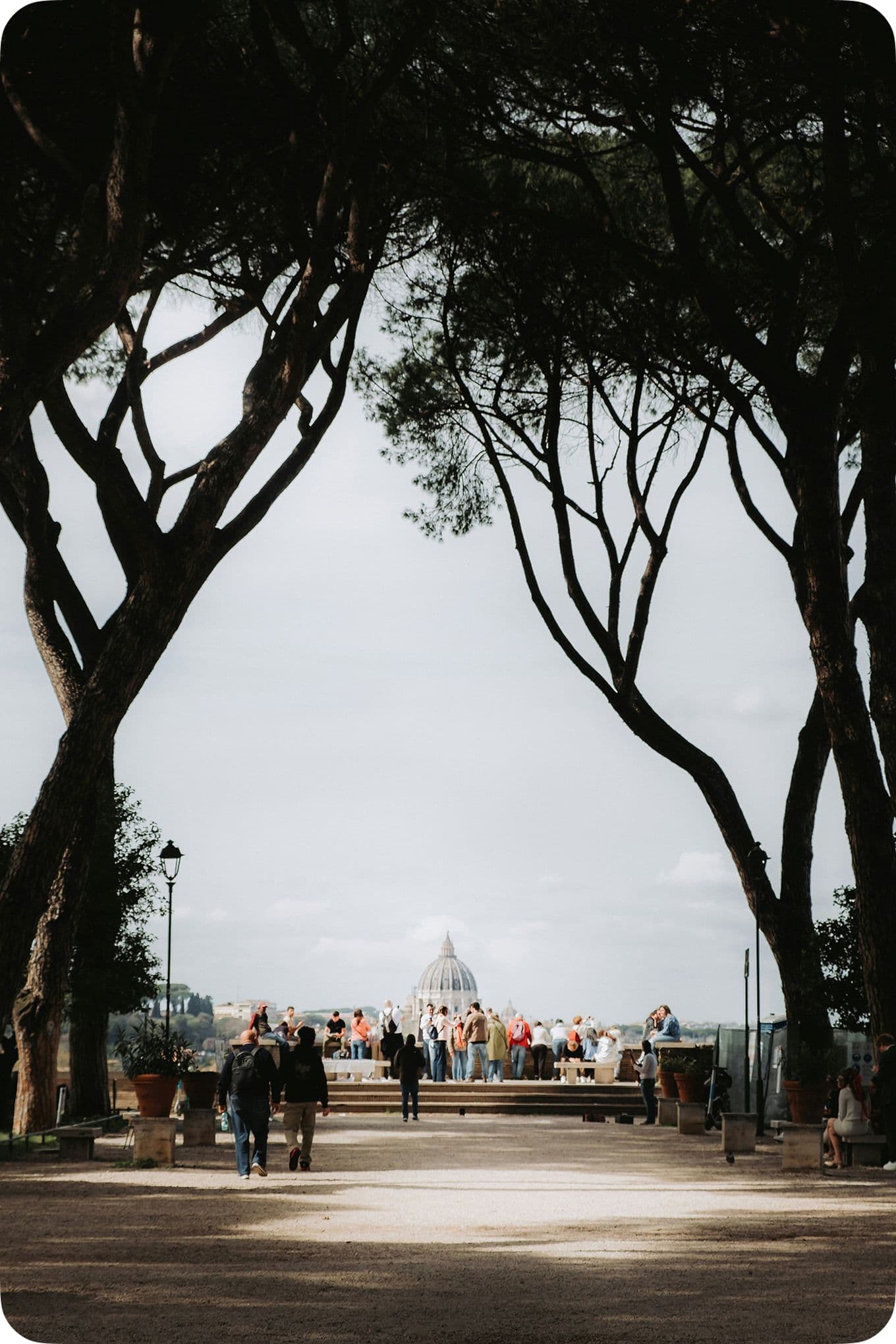 People walking under tall trees in a park, with a distant view of a domed building under a cloudy sky.