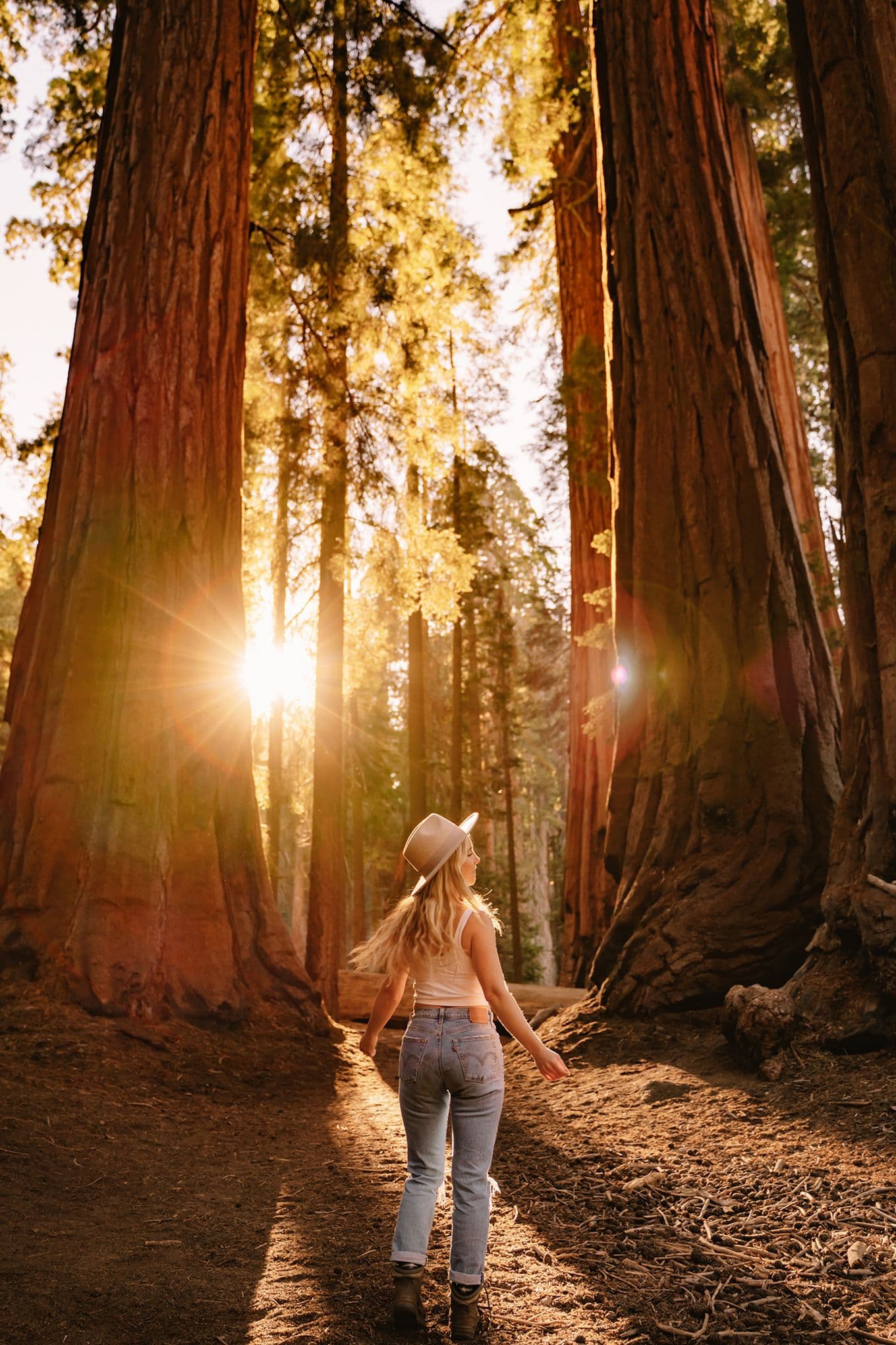Sophie, wearing jeans, a white top and a hat, walks through a sunlit forest of tall redwood trees, with sunlight streaming through the branches.