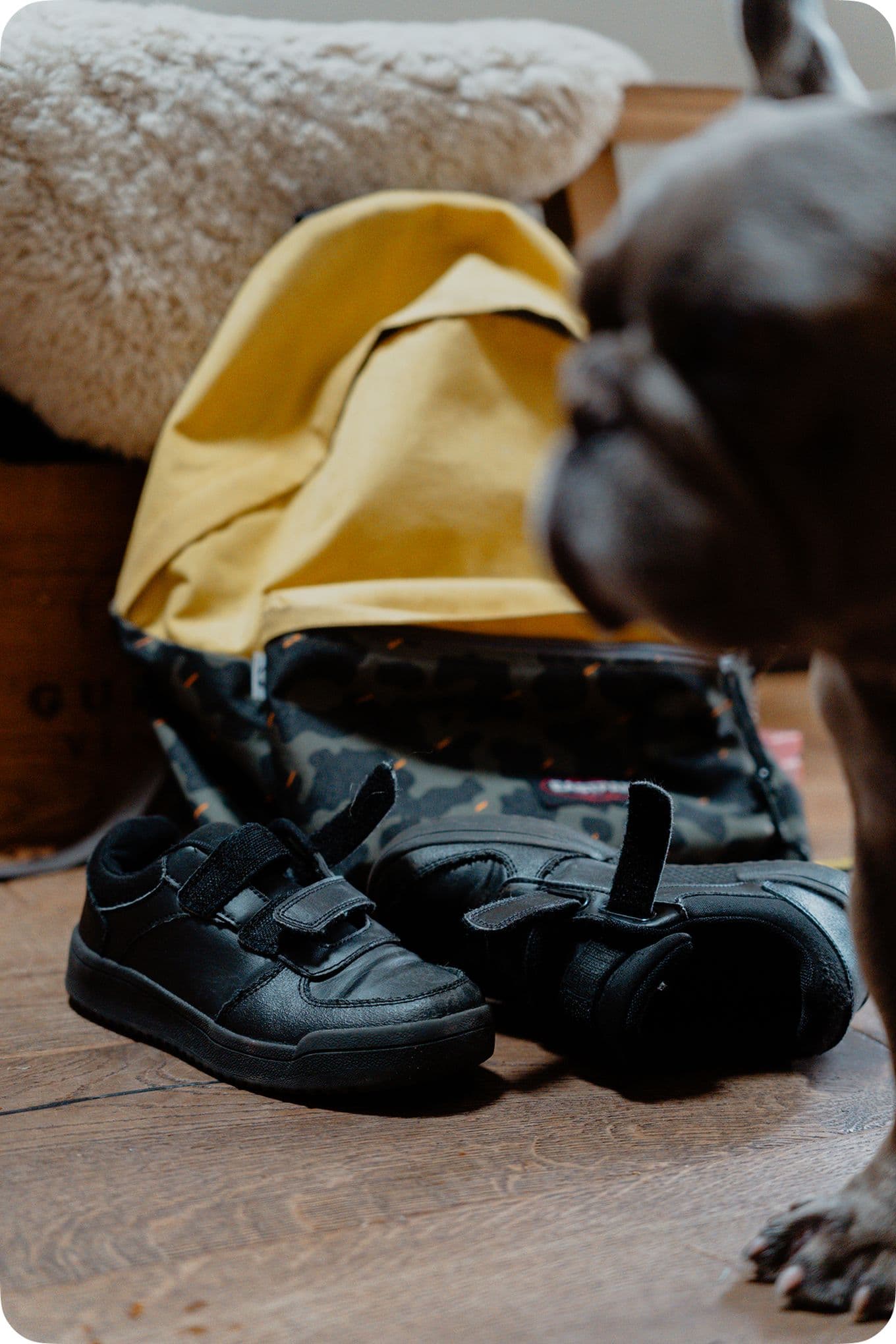 Black sneakers and a yellow backpack on a wooden floor, with a blurred dog in the foreground.