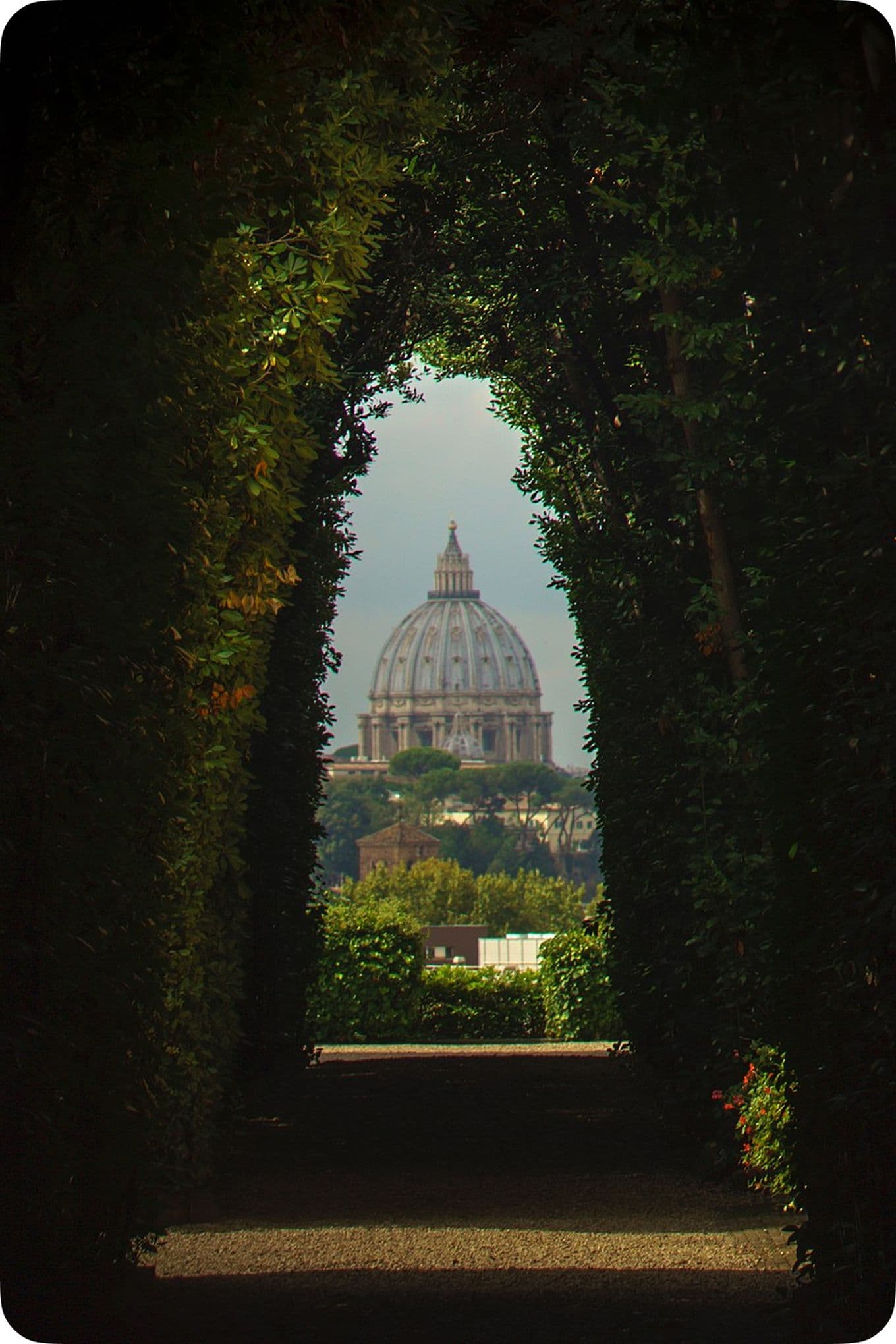 View of a distant domed building framed by a tunnel of lush greenery, creating a natural archway with a clear path leading towards it.