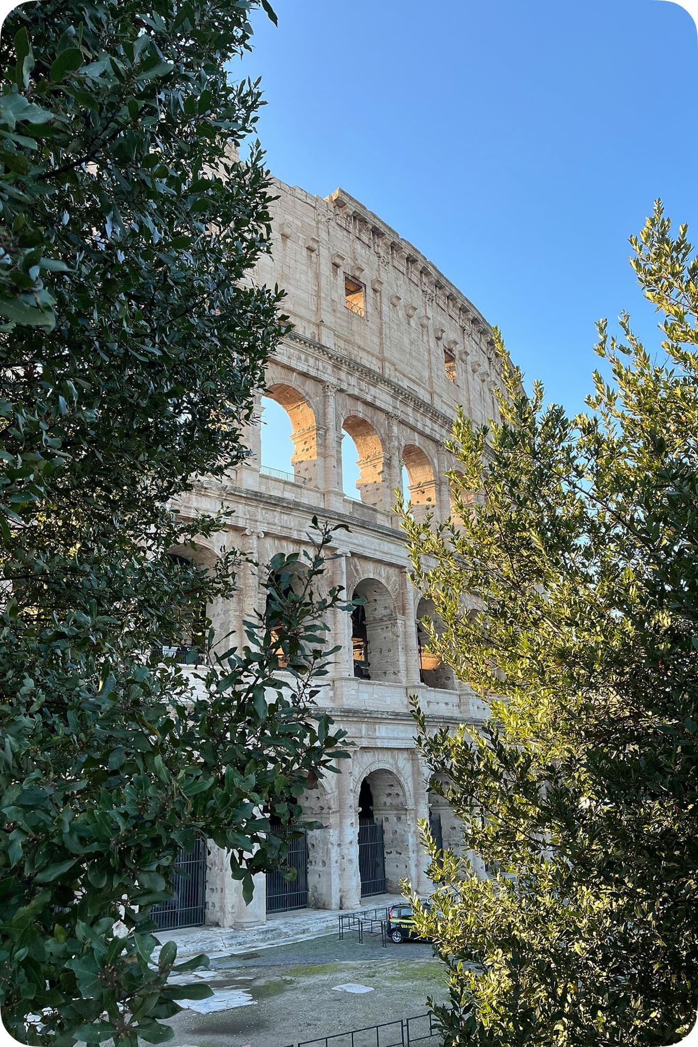 The Colosseum in Rome, partially obscured by trees, under a clear blue sky.