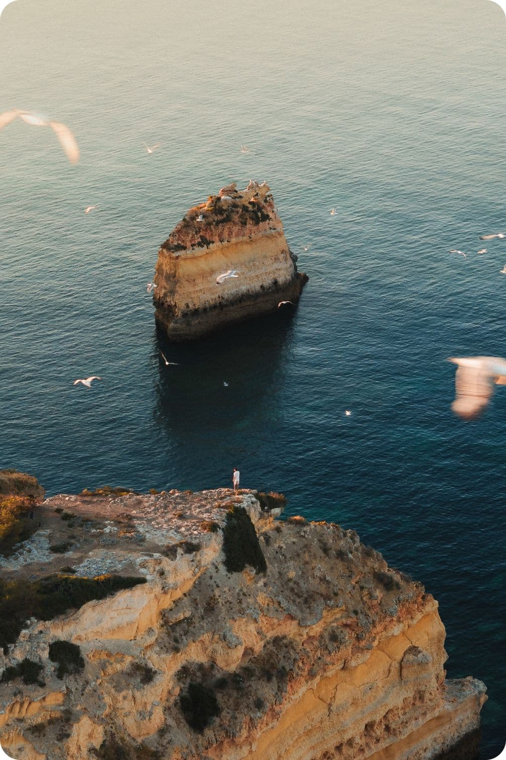 Rocky cliffs overlooking a large rock formation in the ocean, with seagulls flying above the water.