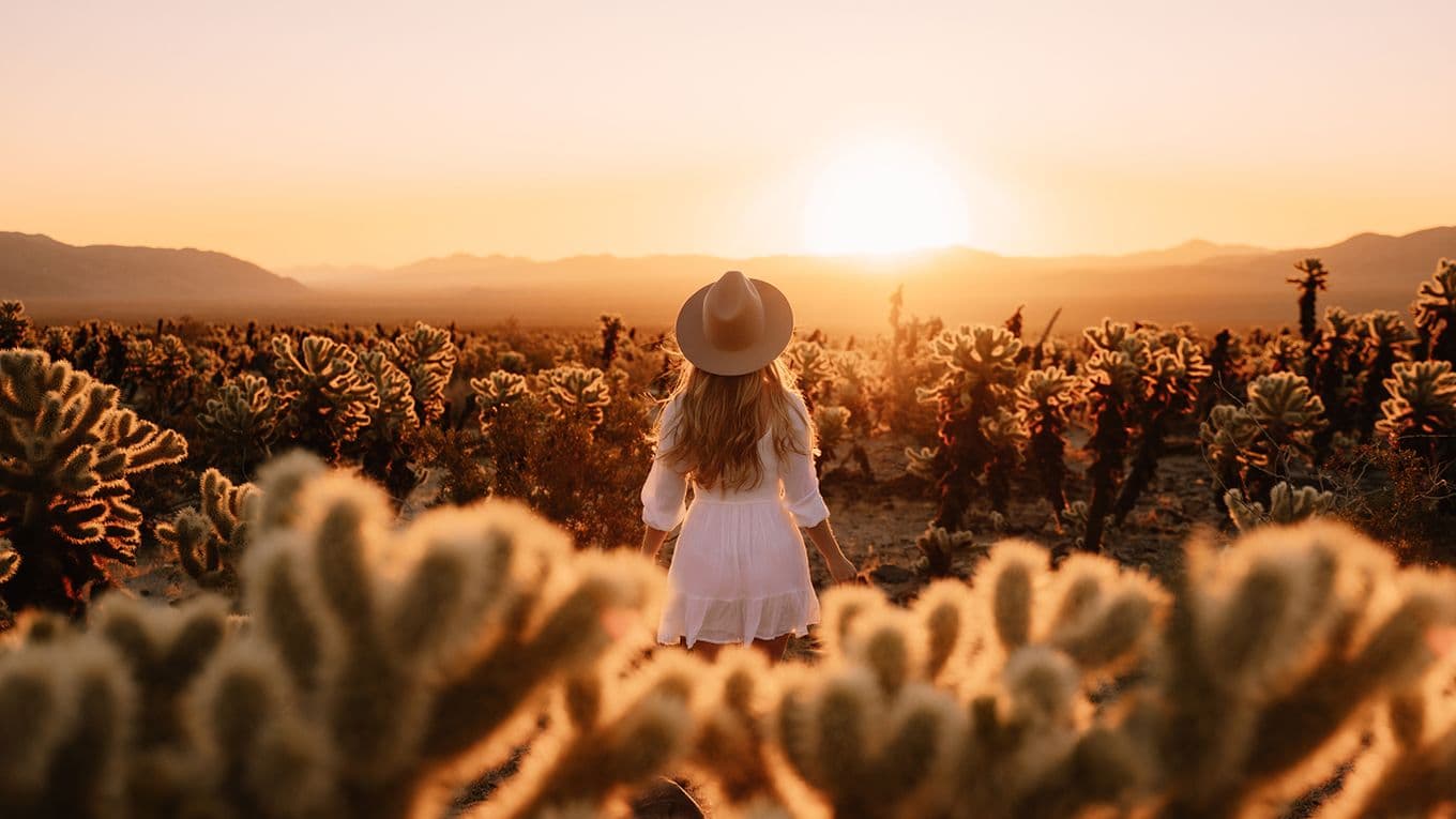 Sophie wearing a white dress and hat stands in a cactus field, watching a golden sunset over distant mountains.
