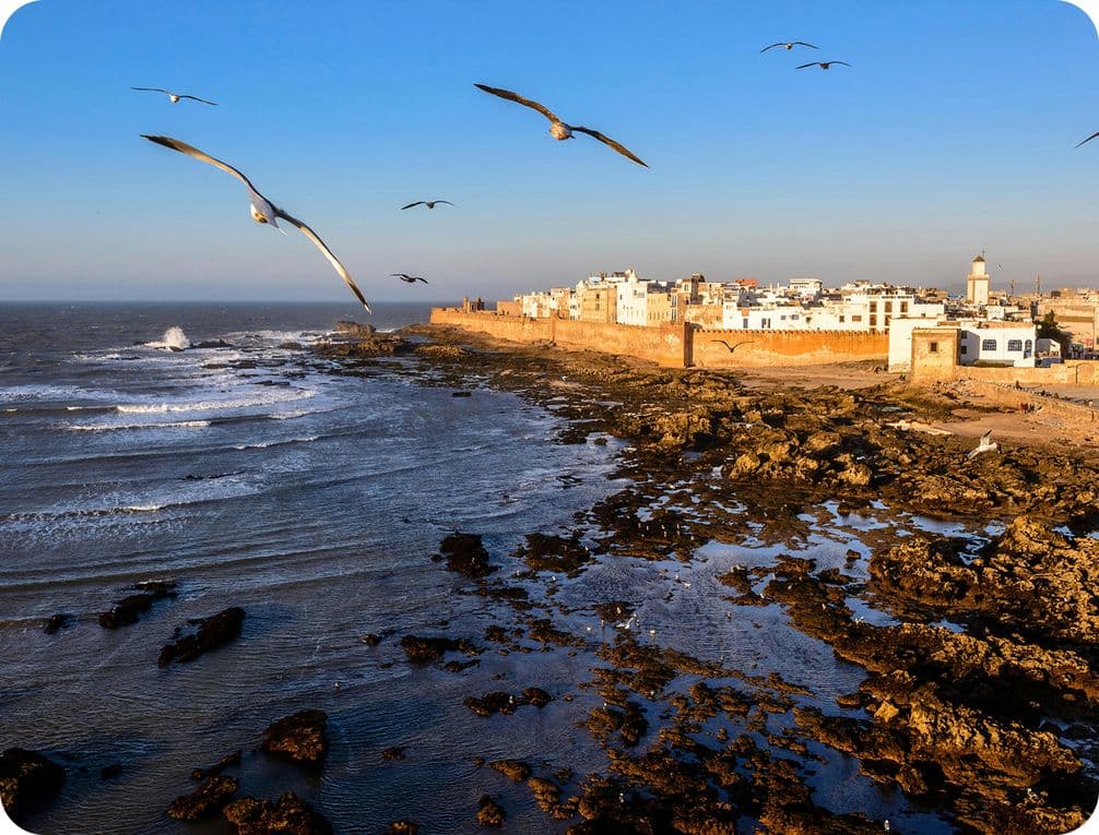 Seaside view of a coastal town with seagulls flying over rocky shores and waves under a clear blue sky.