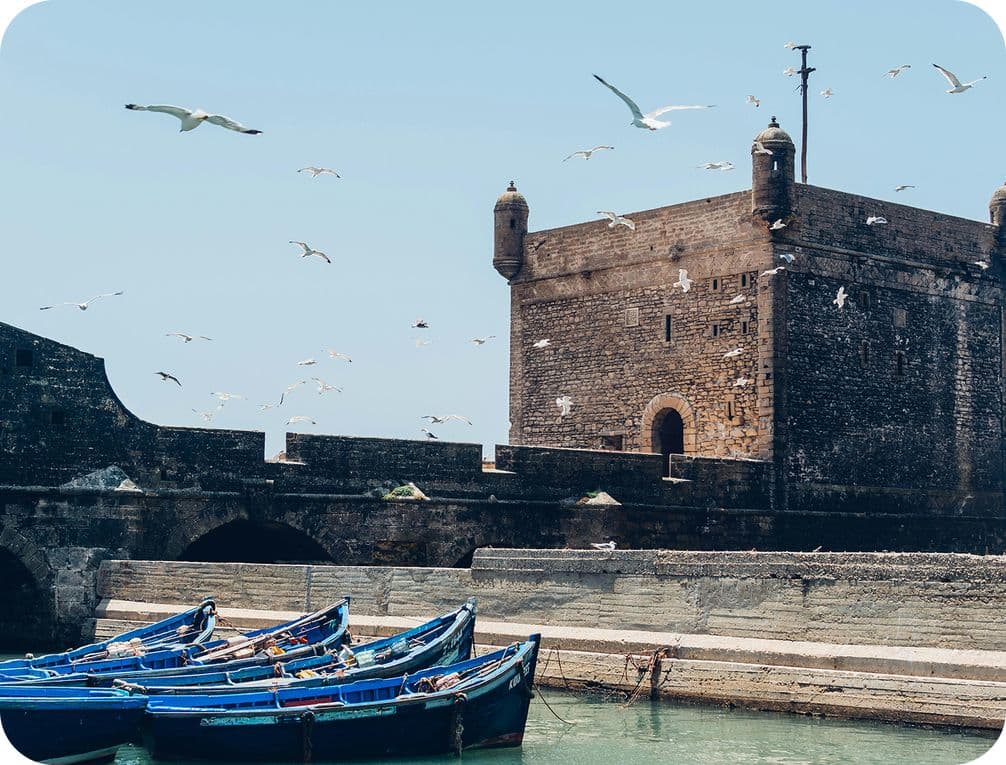 Historic stone fortress by a harbor with several blue boats and seagulls flying in a clear sky.