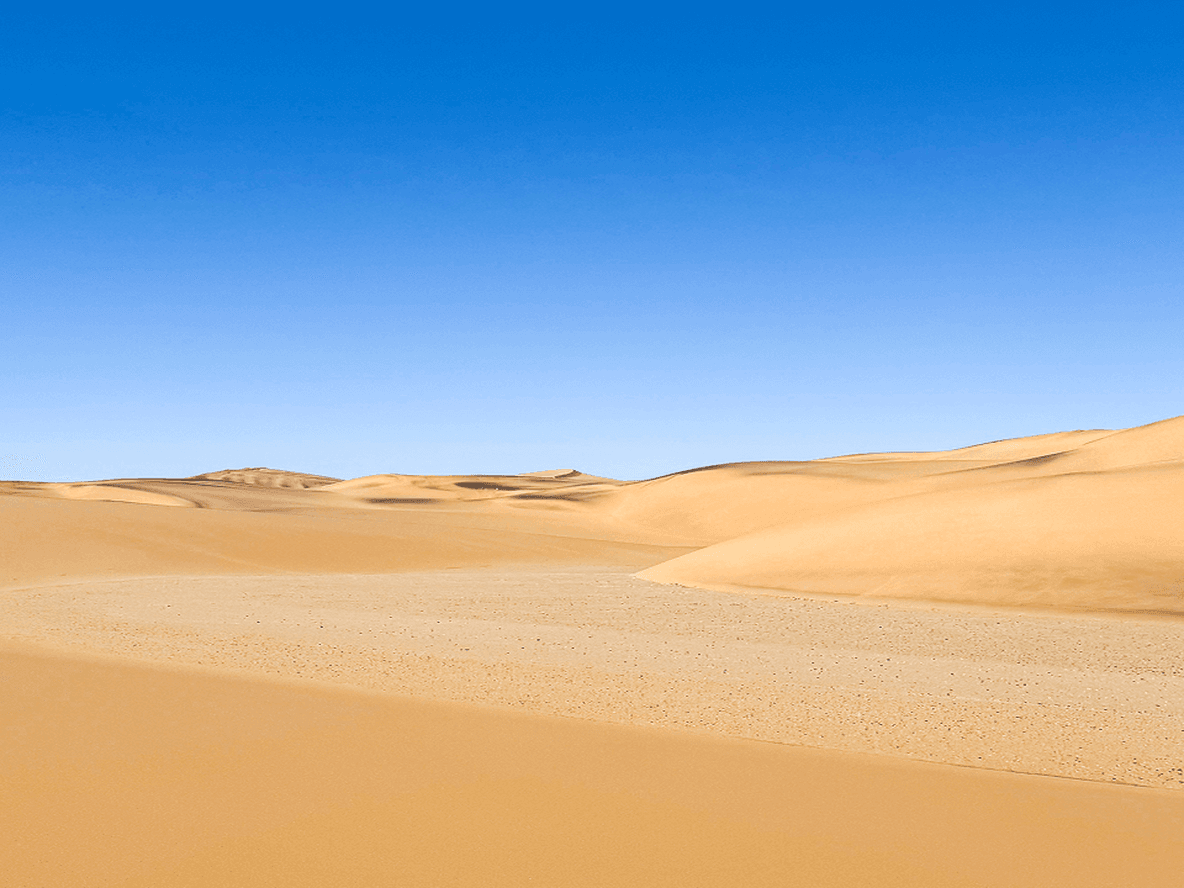 Vast desert landscape with rolling sand dunes under a clear blue sky.