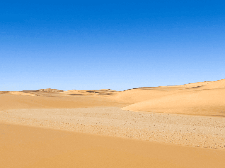 Vast desert landscape with rolling sand dunes under a clear blue sky.