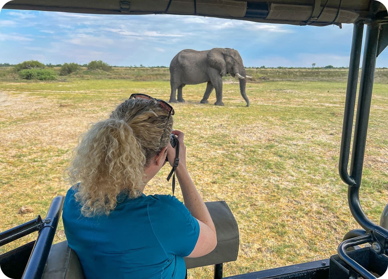 A person in a safari vehicle photographs an elephant walking across a grassy plain under a partly cloudy sky.