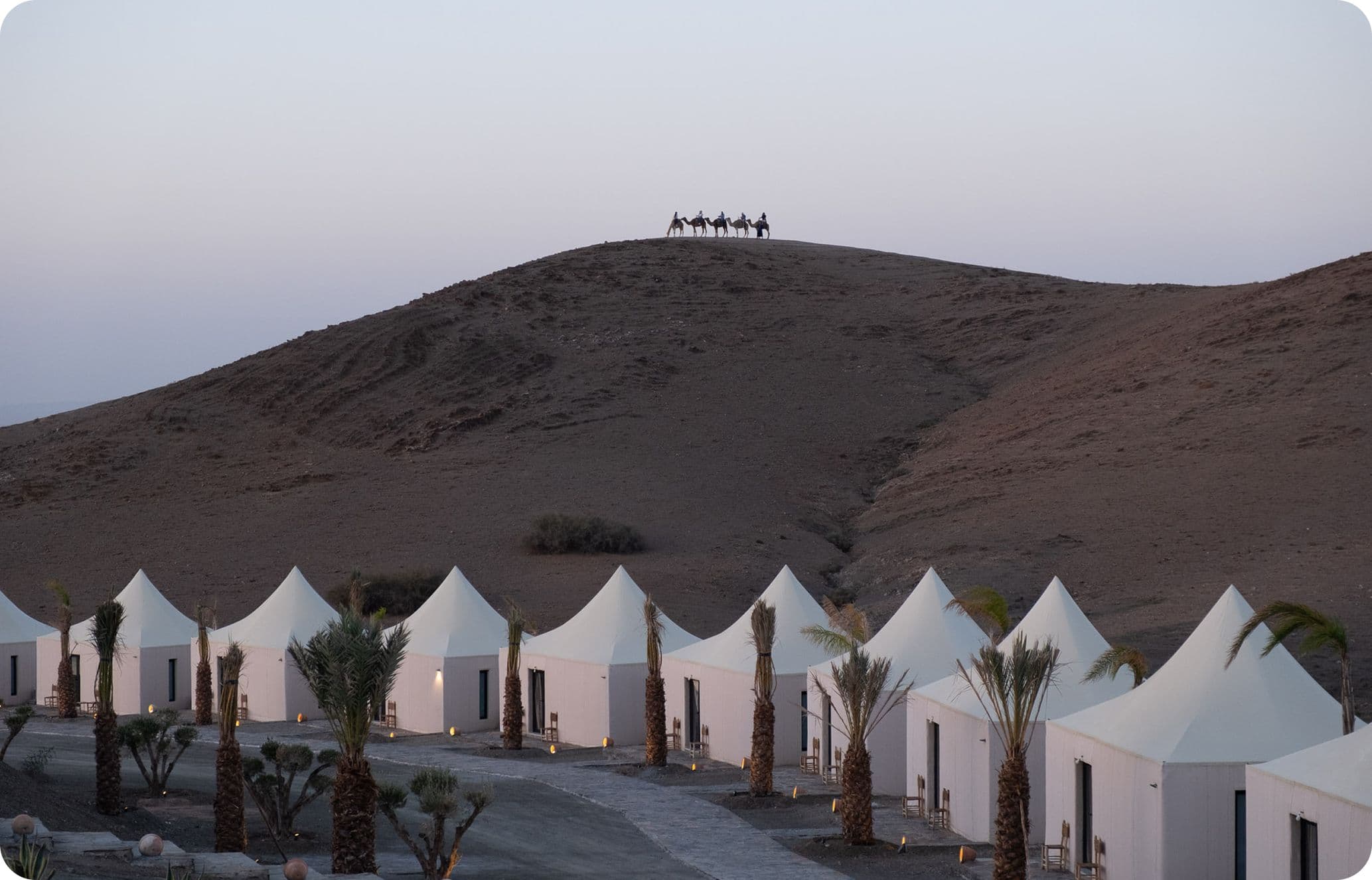 White tents line a desert landscape with palm trees. In the background, silhouettes of camels and riders appear on a hill at dusk.