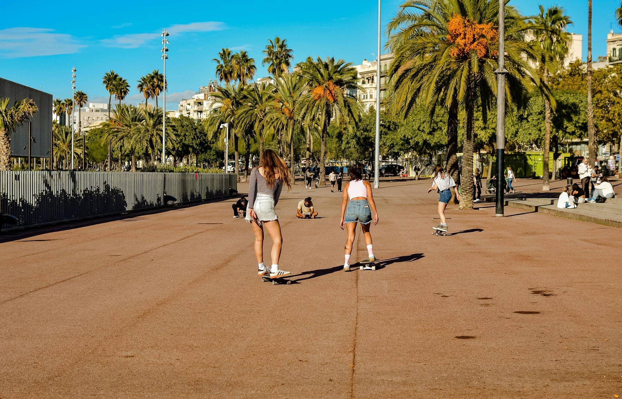 Two young women skateboarding away on a sunny palm-lined promenade, with pedestrians and city buildings in the background.