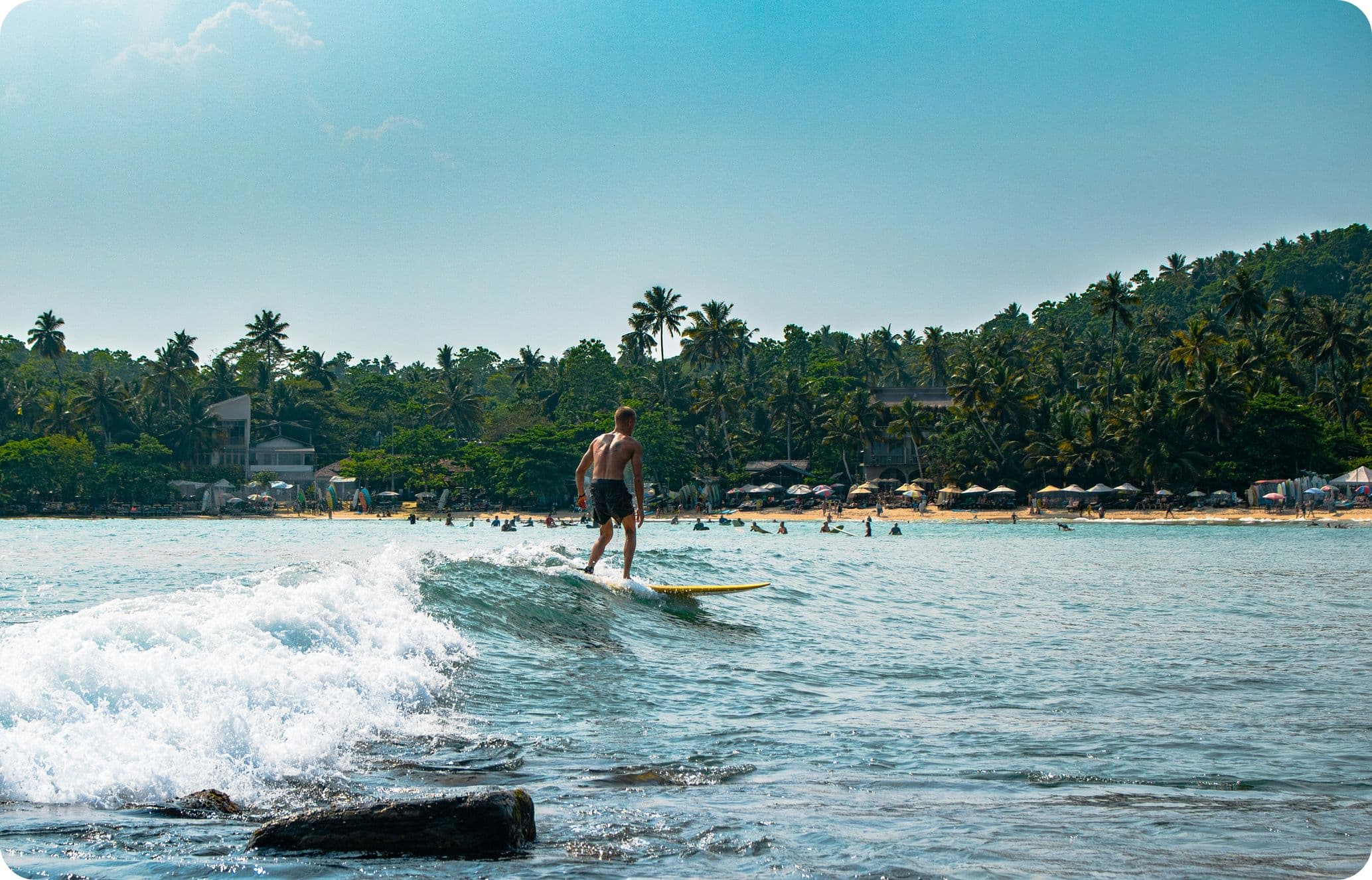 A surfer rides a gentle wave near a tropical beach with lush greenery and people relaxing under umbrellas in the background.