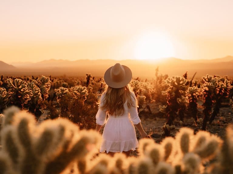 A woman stands with her back to the camera wearing a white dress and hat in the middle of a cactus-filled desert while the sun sets on the horizon ahead