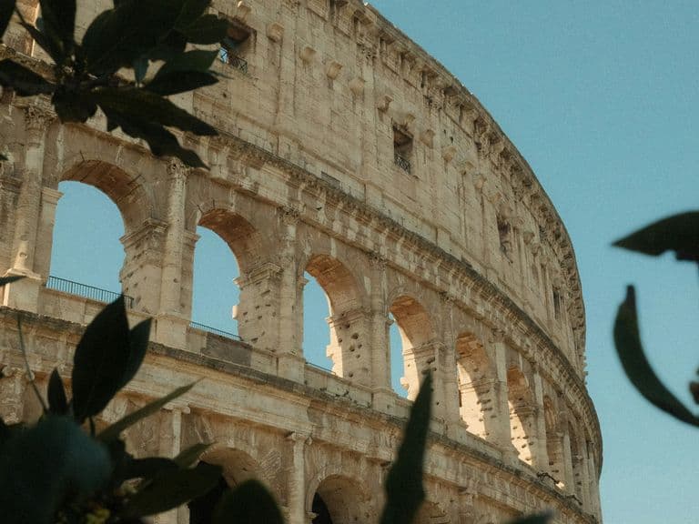 View of the Colosseum in Rome, partially obscured by leaves, under a clear blue sky.