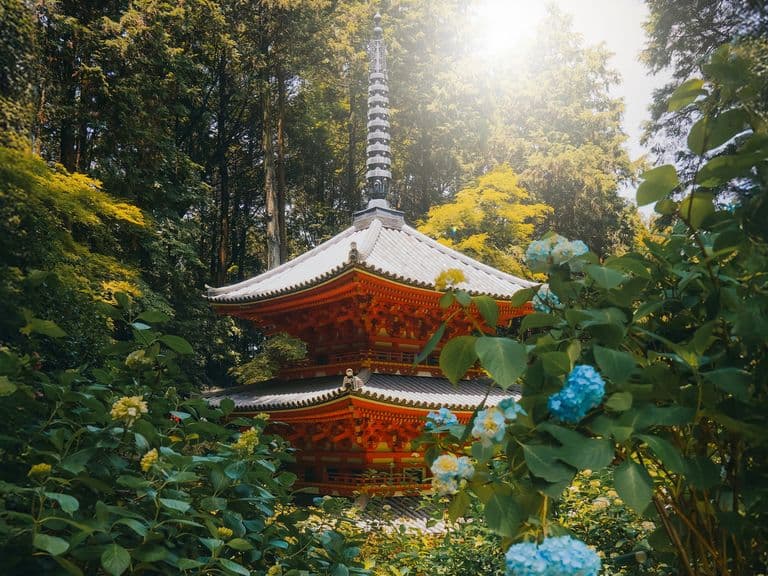 Sechs ikonische Fotomotive: Kyoto für Einheimische