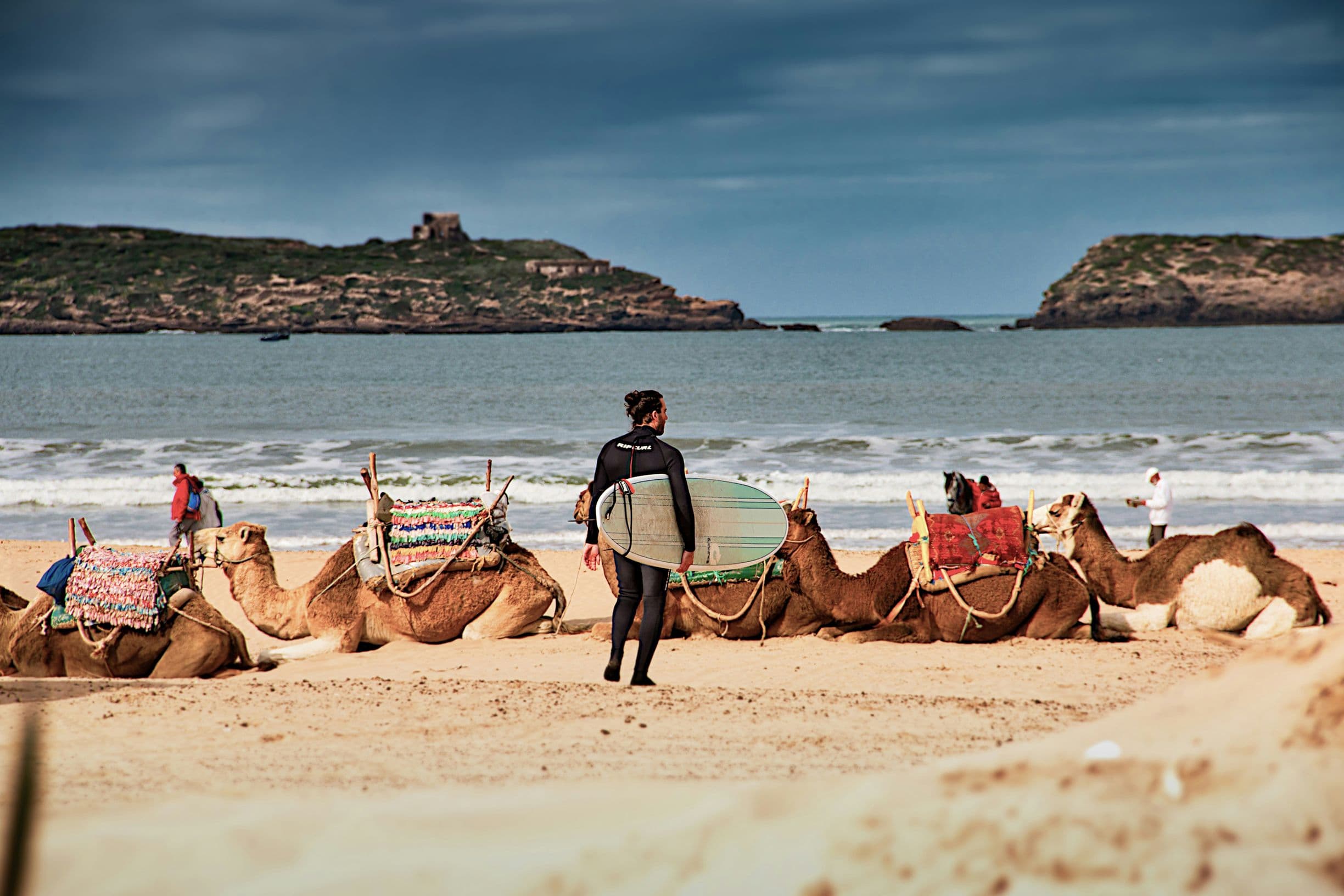 A surfer in a wetsuit holds a surfboard, standing on a beach with camels resting on the sand, under a cloudy sky.