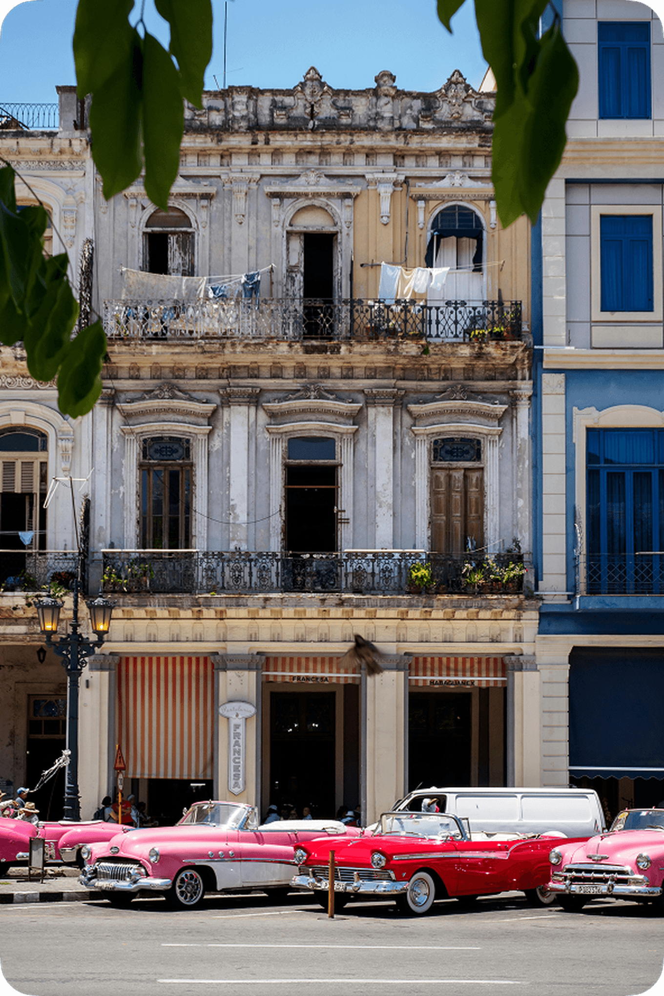 Vintage cars in vibrant pinks parked in front of an aged, ornate building with balconies and laundry hanging, under a clear blue sky.