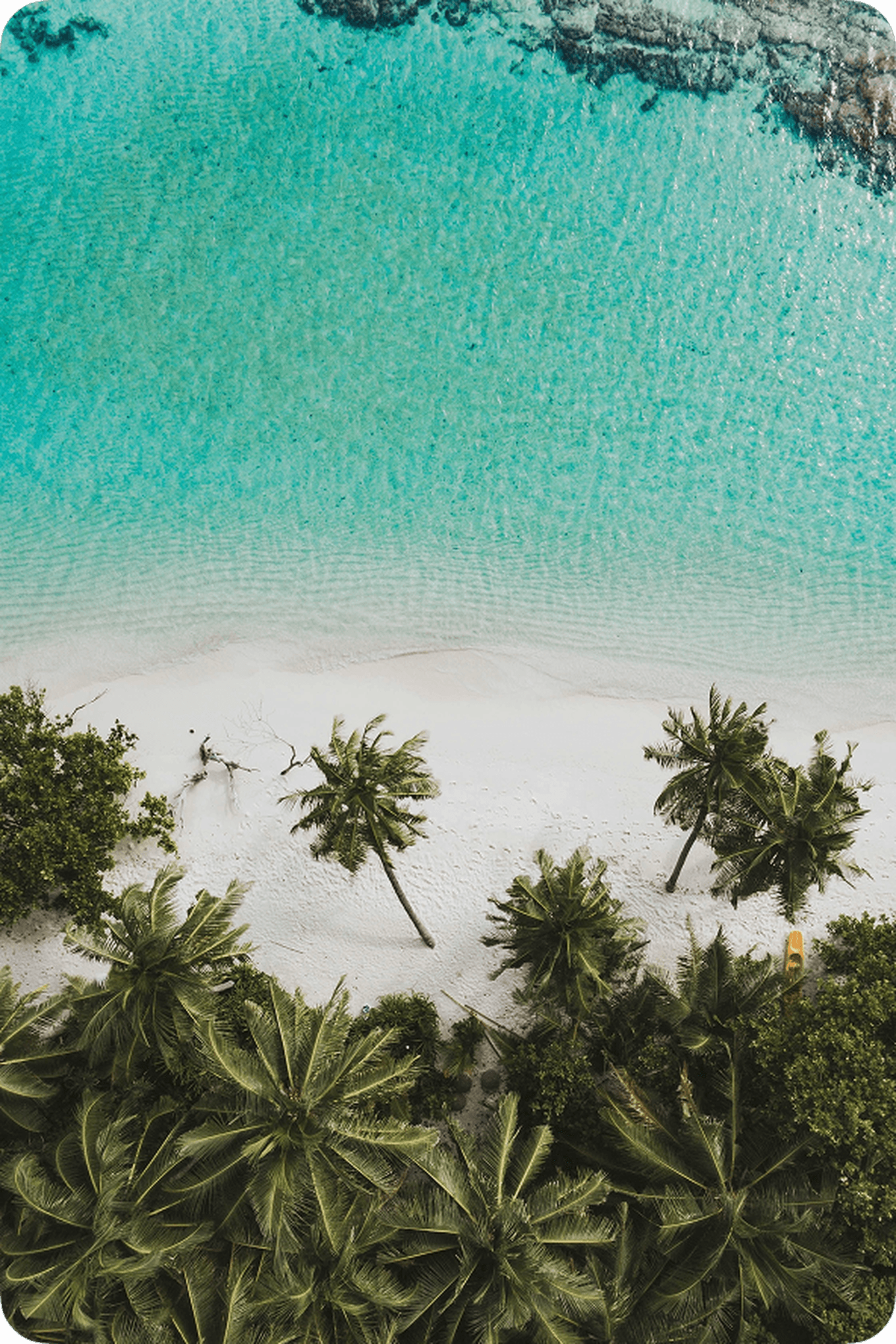 Aerial view of a tropical beach with turquoise water, white sand, and lush palm trees along the shoreline.