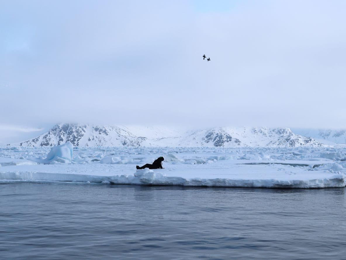 Writer and poet Katie Hale sat on an ice floe