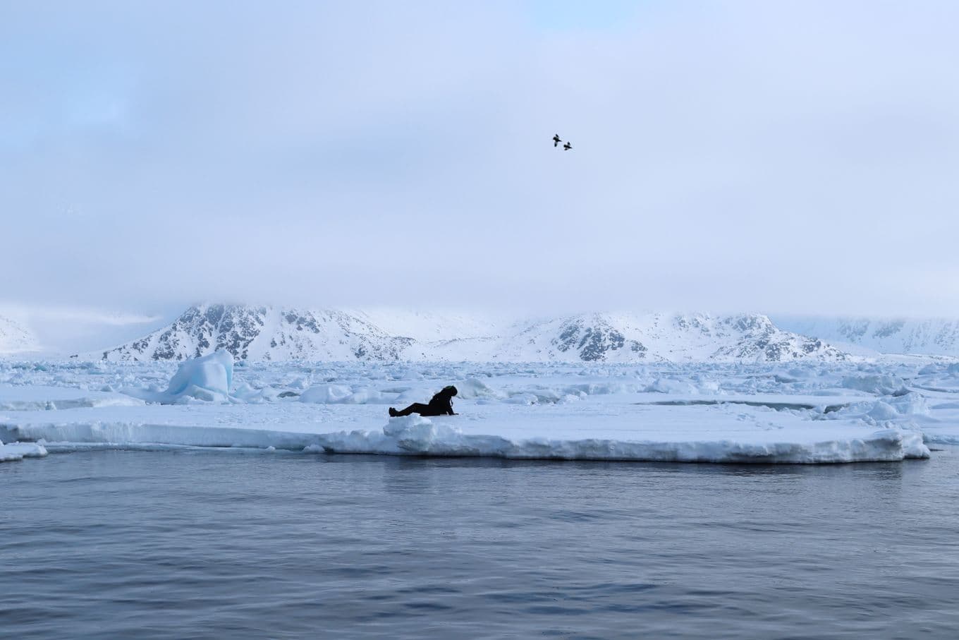 Writer and poet Katie Hale sat on an ice floe