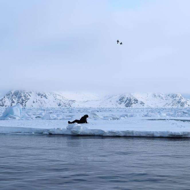 Writer and poet Katie Hale sat on an ice floe