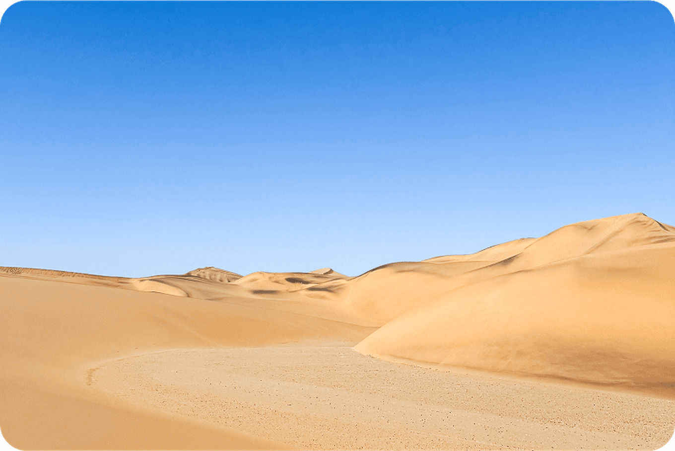 Vast desert landscape with rolling sand dunes under a clear blue sky, creating a serene and expansive view.