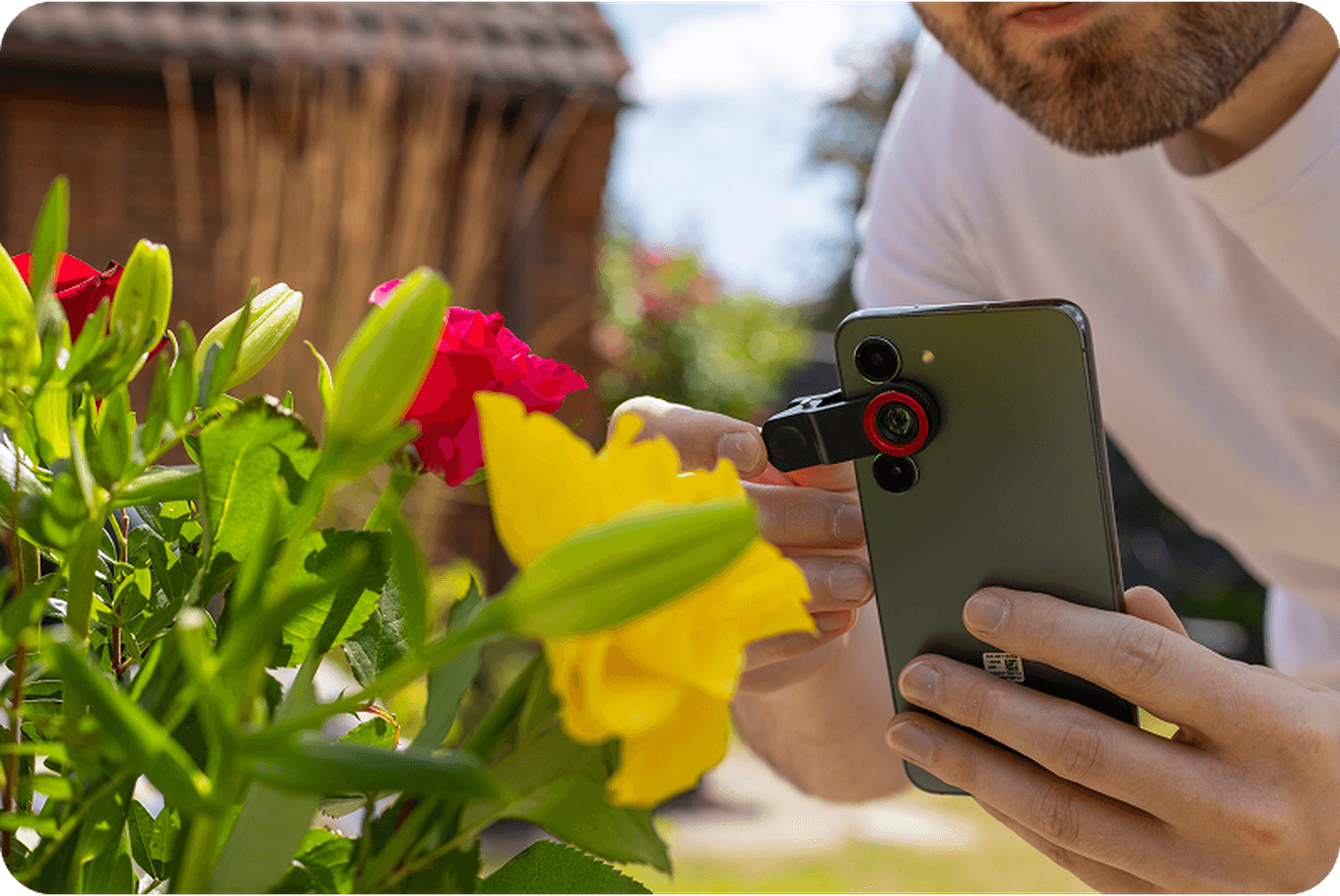 Person using a smartphone with an attached lens to photograph vibrant yellow and red flowers in a garden.