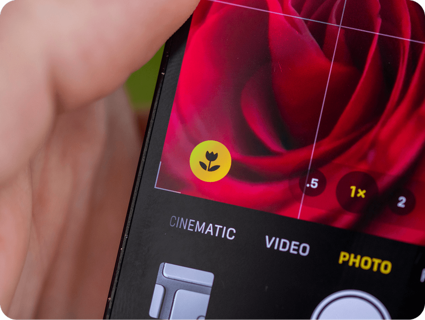 Close-up of a smartphone camera screen showing a red rose in focus. The interface displays photo mode with a yellow macro icon.