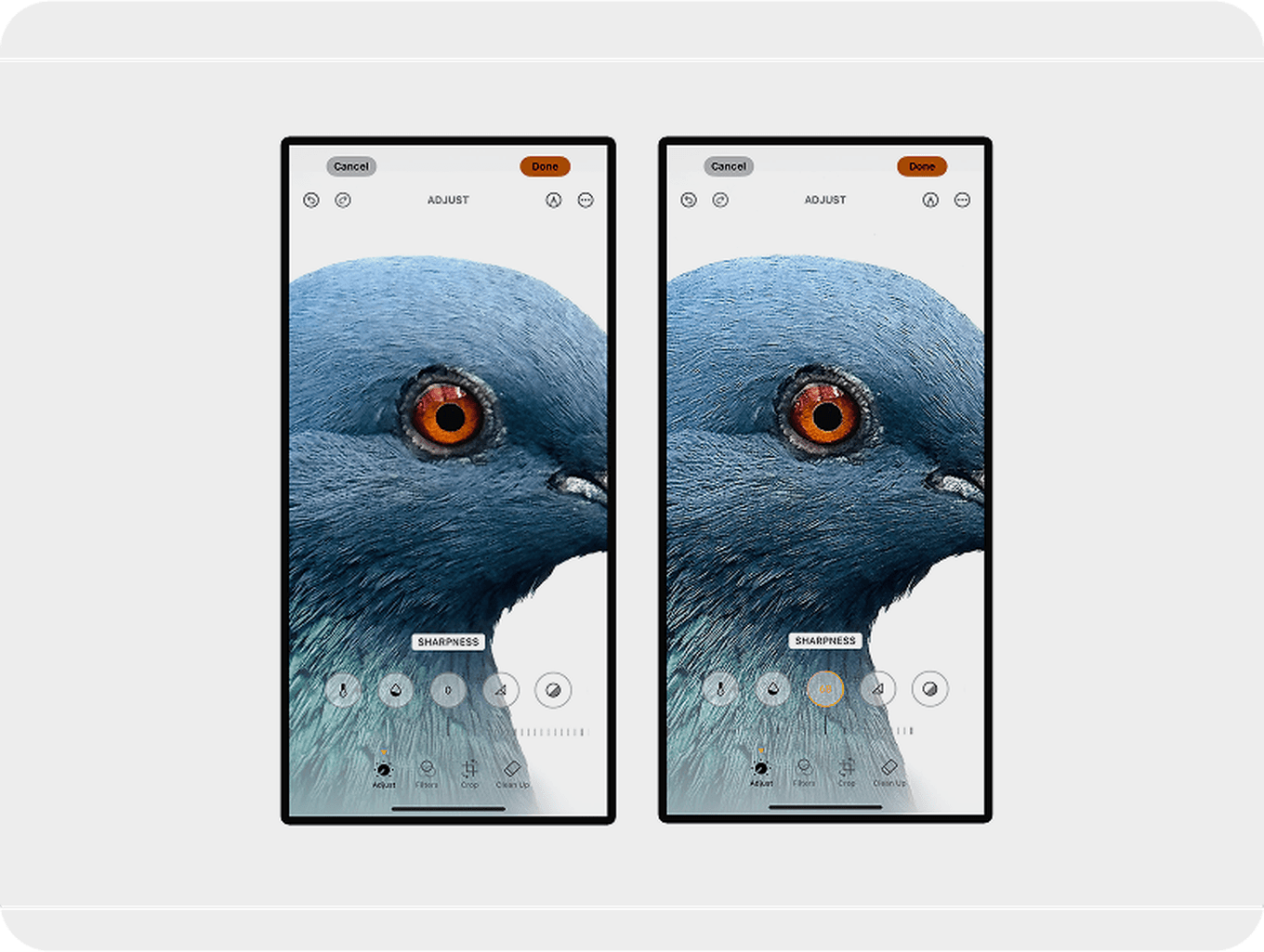 Two smartphone screens displaying a close-up of a bird's head, with image editing tools for adjusting sharpness and other settings.