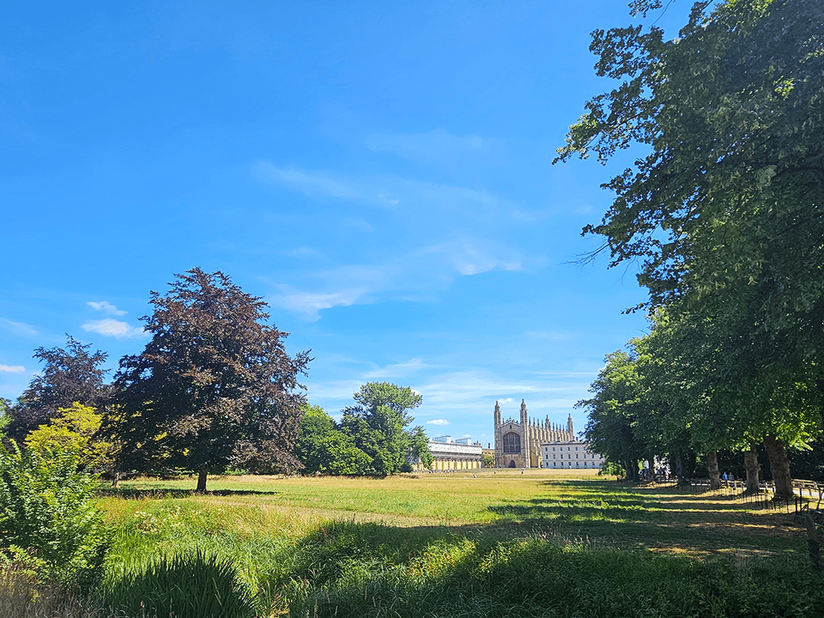 A vast green park with trees under a bright blue sky, featuring The University of Cambridge in the distance.