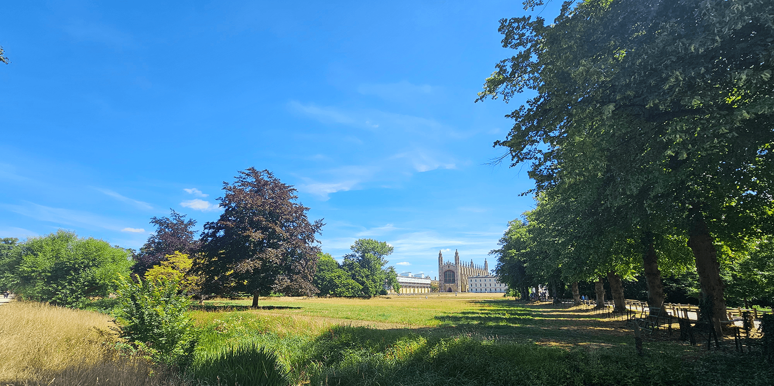 A vast green park with trees under a bright blue sky, featuring The University of Cambridge in the distance.