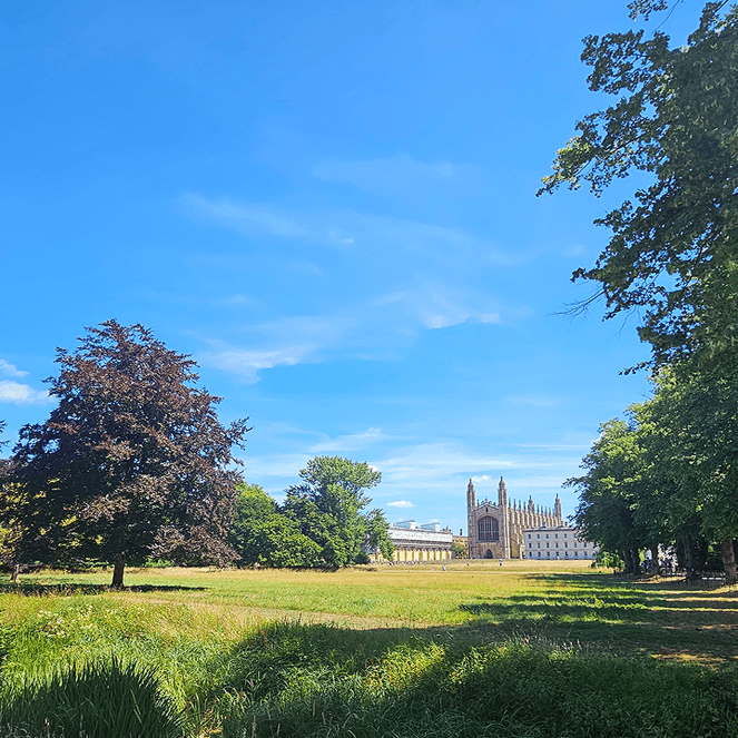 A vast green park with trees under a bright blue sky, featuring The University of Cambridge in the distance.