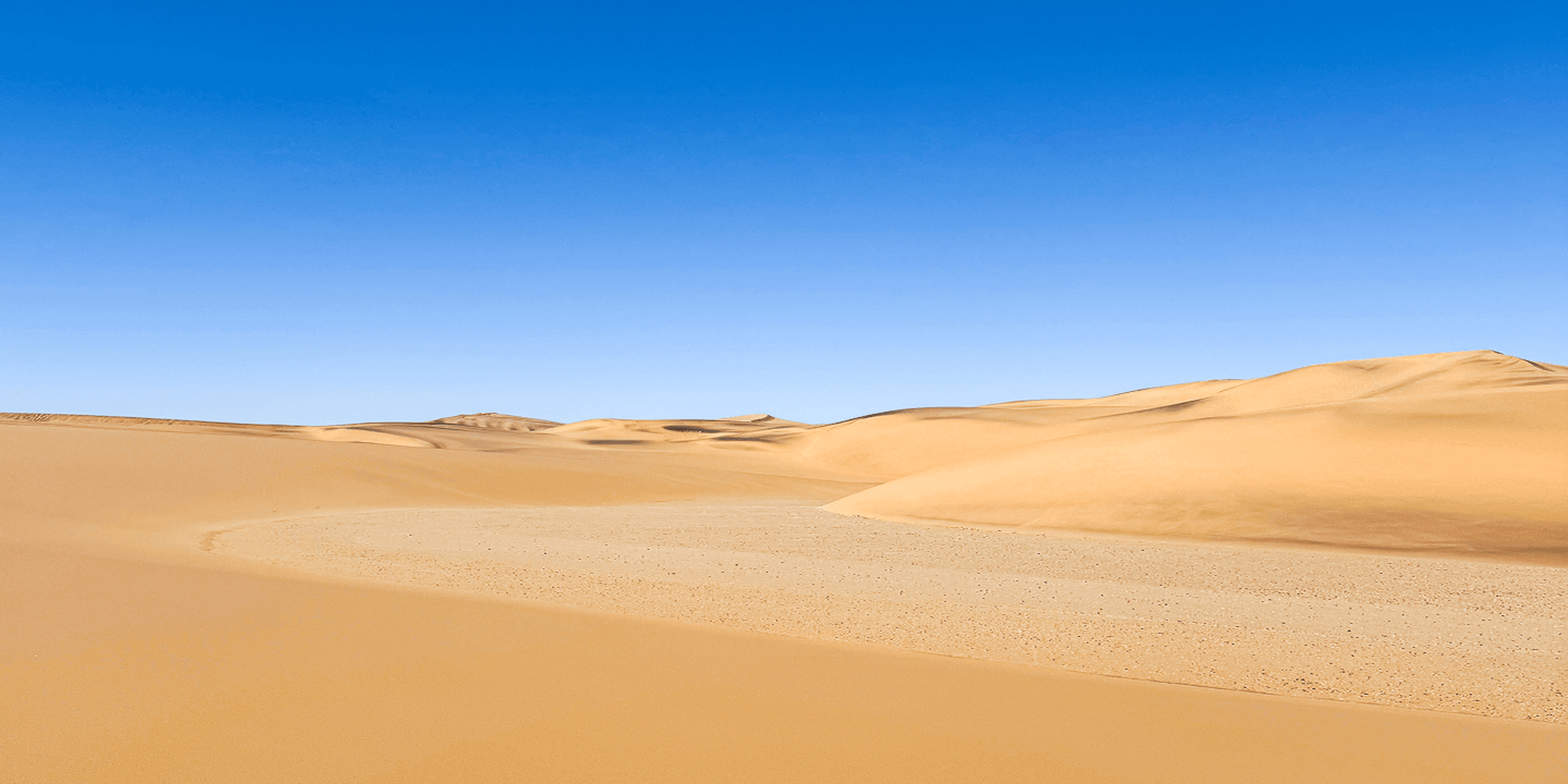 Vast desert landscape with rolling sand dunes under a clear blue sky.