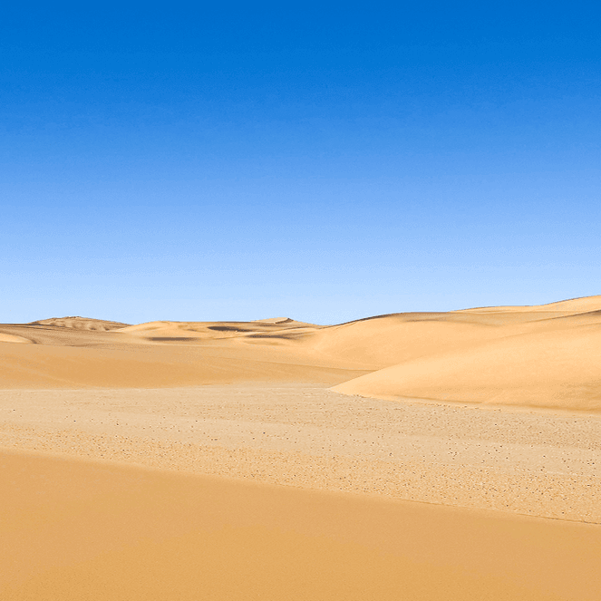 Vast desert landscape with rolling sand dunes under a clear blue sky.