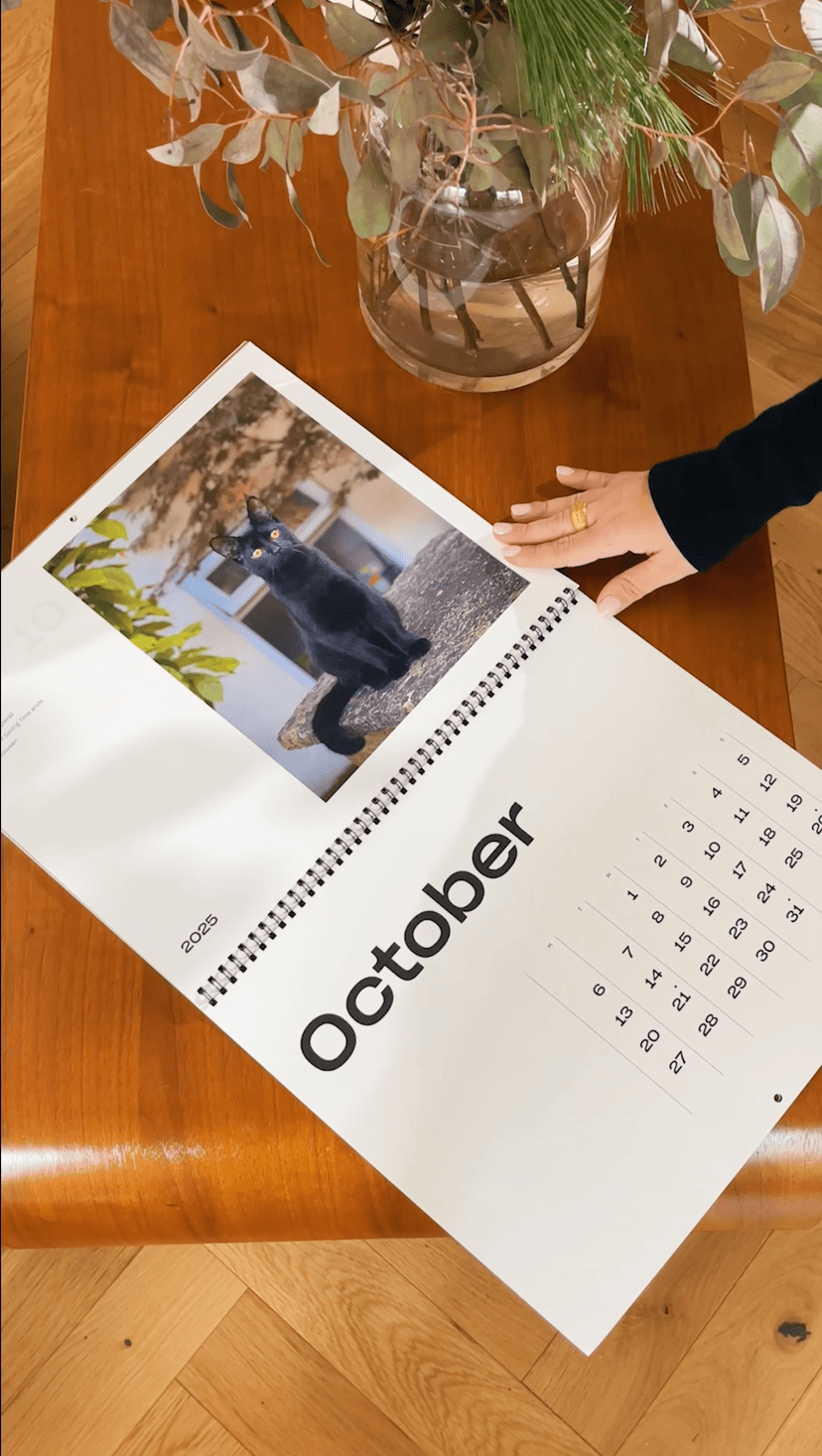 I can’t wait to make one myself next year