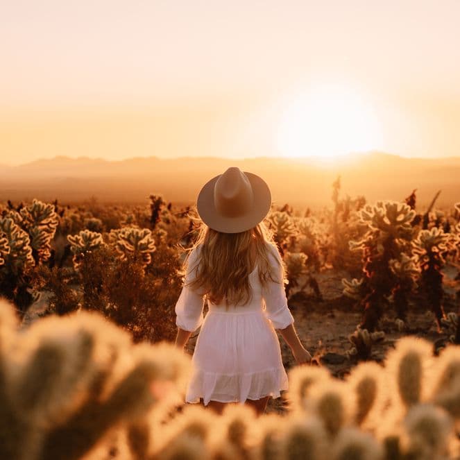 A woman stands with her back to the camera wearing a white dress and hat in the middle of a cactus-filled desert while the sun sets on the horizon ahead