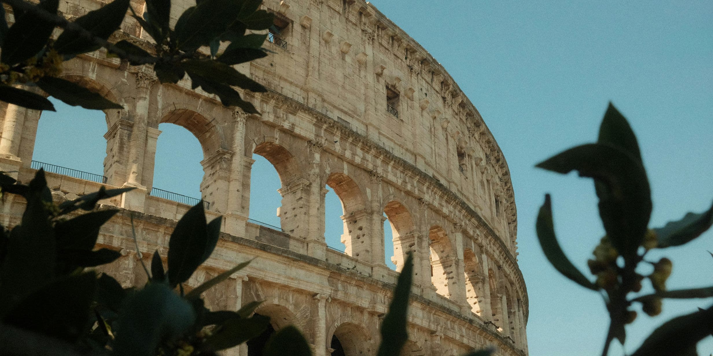 View of the Colosseum in Rome, partially obscured by leaves, under a clear blue sky.