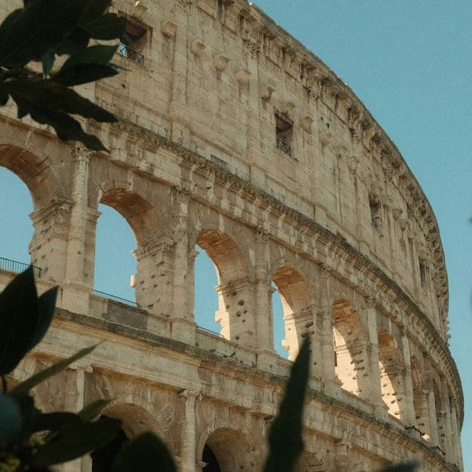 View of the Colosseum in Rome, partially obscured by leaves, under a clear blue sky.