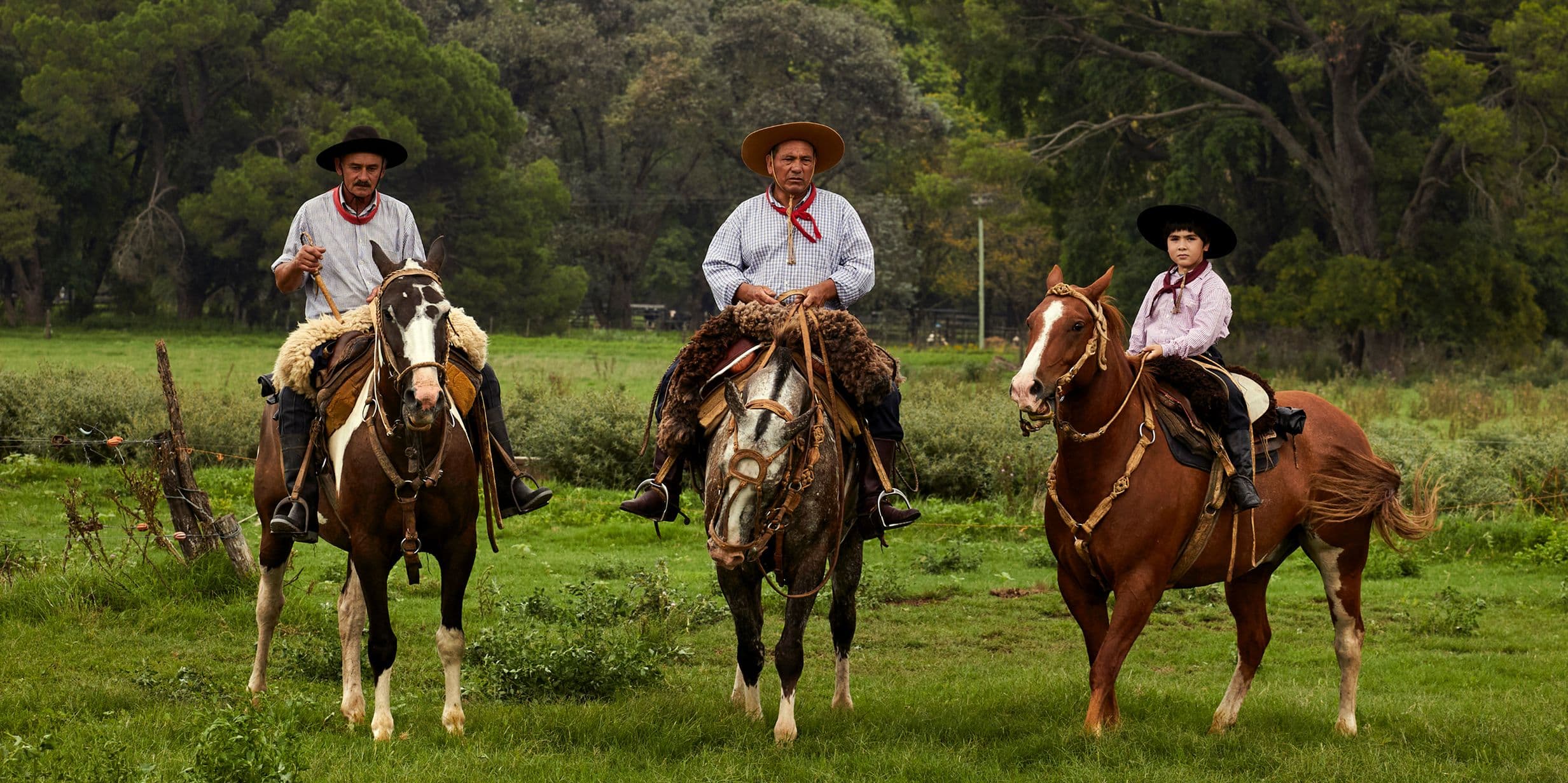 Three gauchos on horseback in a green field, wearing wide-brimmed hats and traditional clothing, trees in the background.