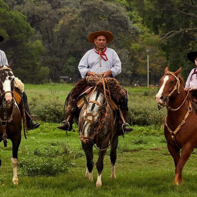 Three gauchos on horseback in a green field, wearing wide-brimmed hats and traditional clothing, trees in the background.