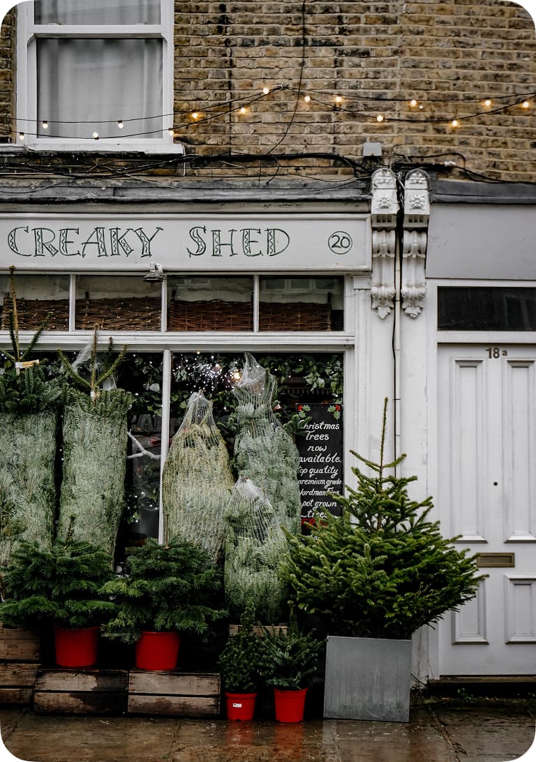 Storefront with Christmas trees in red pots, wrapped and unwrapped, displayed outside. Brick building with string lights above.