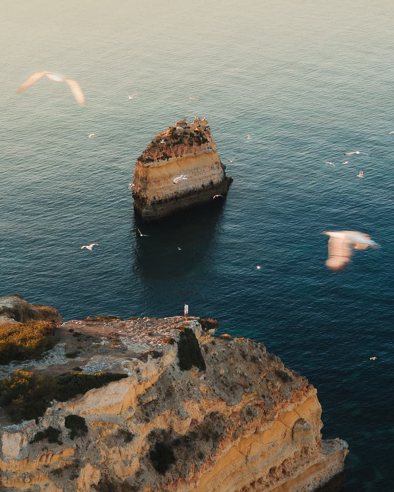 A person stands on a cliff overlooking the ocean, with a large rock formation in the water and seagulls flying overhead.